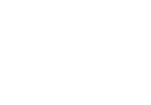 ProvideTech BrandWave