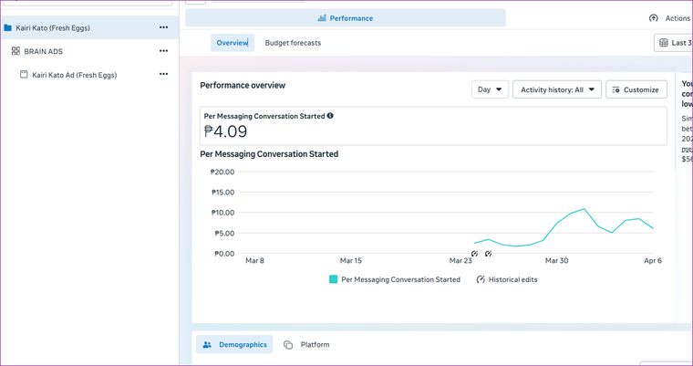 Kairi Kato (Fresh Eggs): ₱4.09 per messaging conversation (last 30 days)
